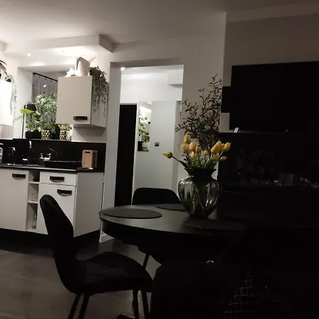 Magvel Szczecin