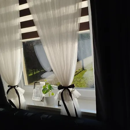 Magvel * Szczecin